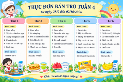 Tuần 4