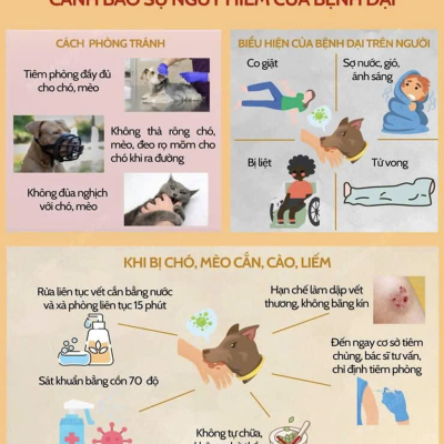 TRUYỀN THÔNG VỀ PHÒNG CHỐNG BỆNH DẠI