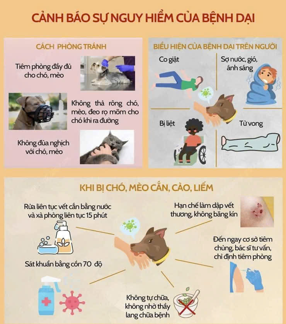 TRUYỀN THÔNG VỀ PHÒNG CHỐNG BỆNH DẠI